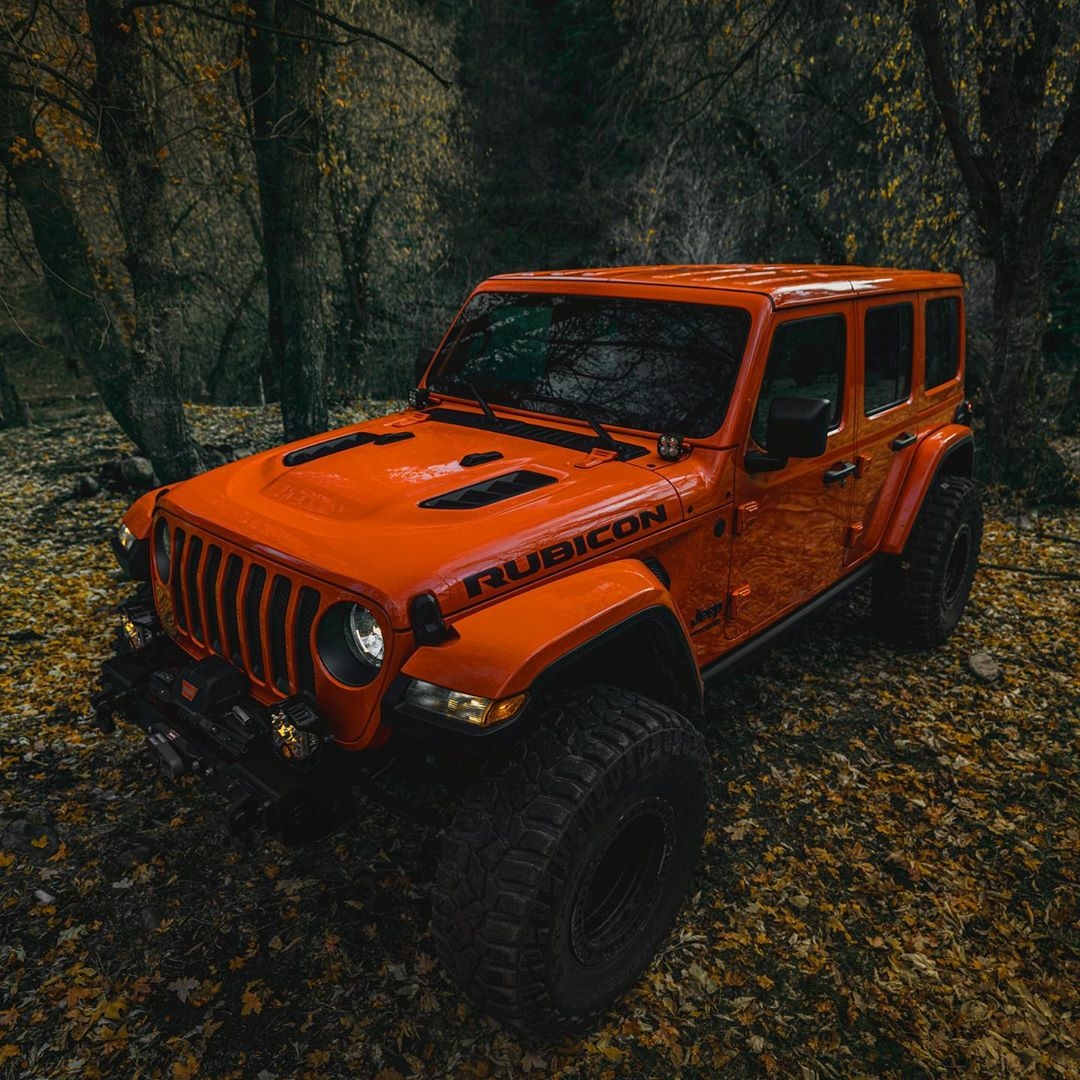 orange jeep rubicon in the woods