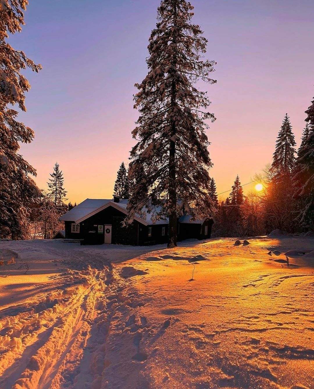 cold scene cabin and snow