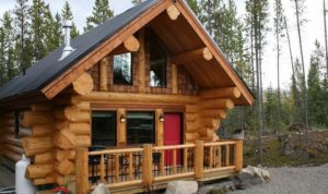 the manly life - classic log cabin