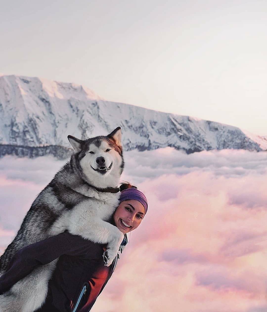 woman with smiling huskey on back