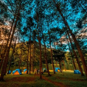 the manly life - camping tents among trees near lake