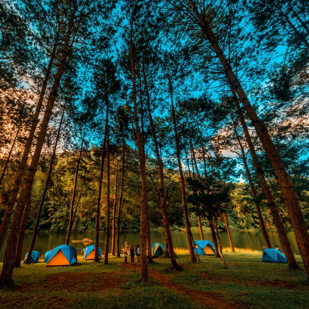 camping tents among trees near lake
