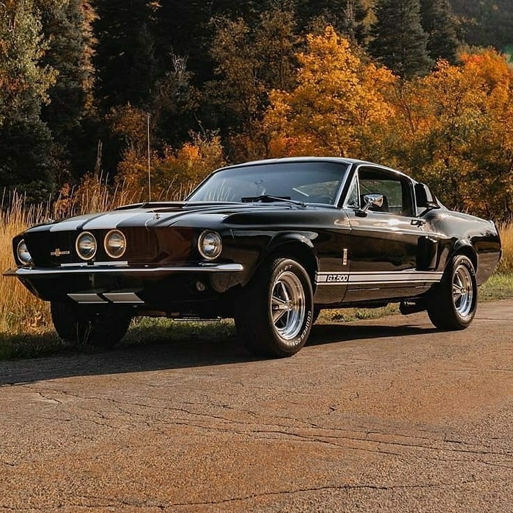 classic ford mustang gt500