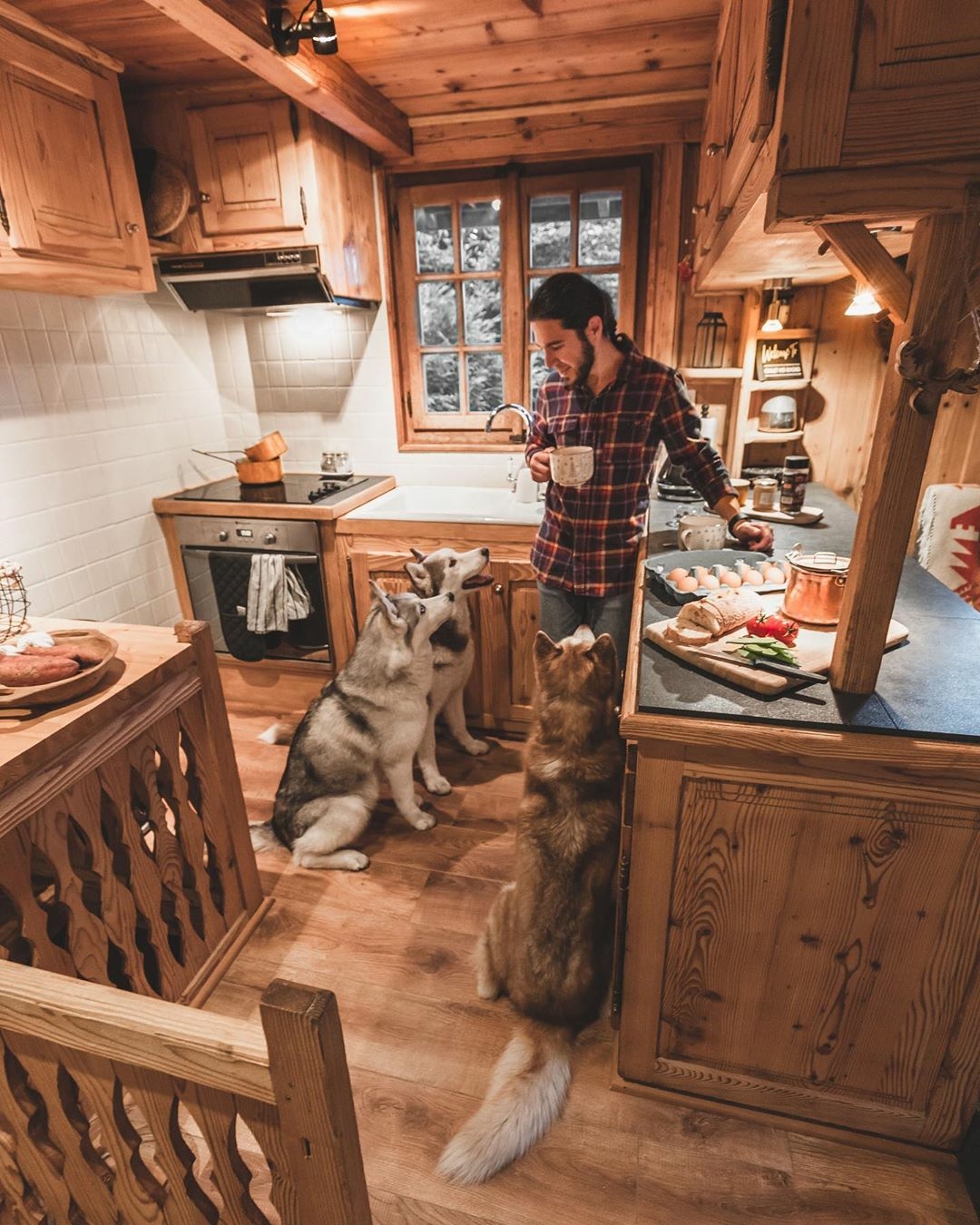 man with huskies in kitchen