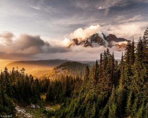 the manly life - Mount Rainier National Park