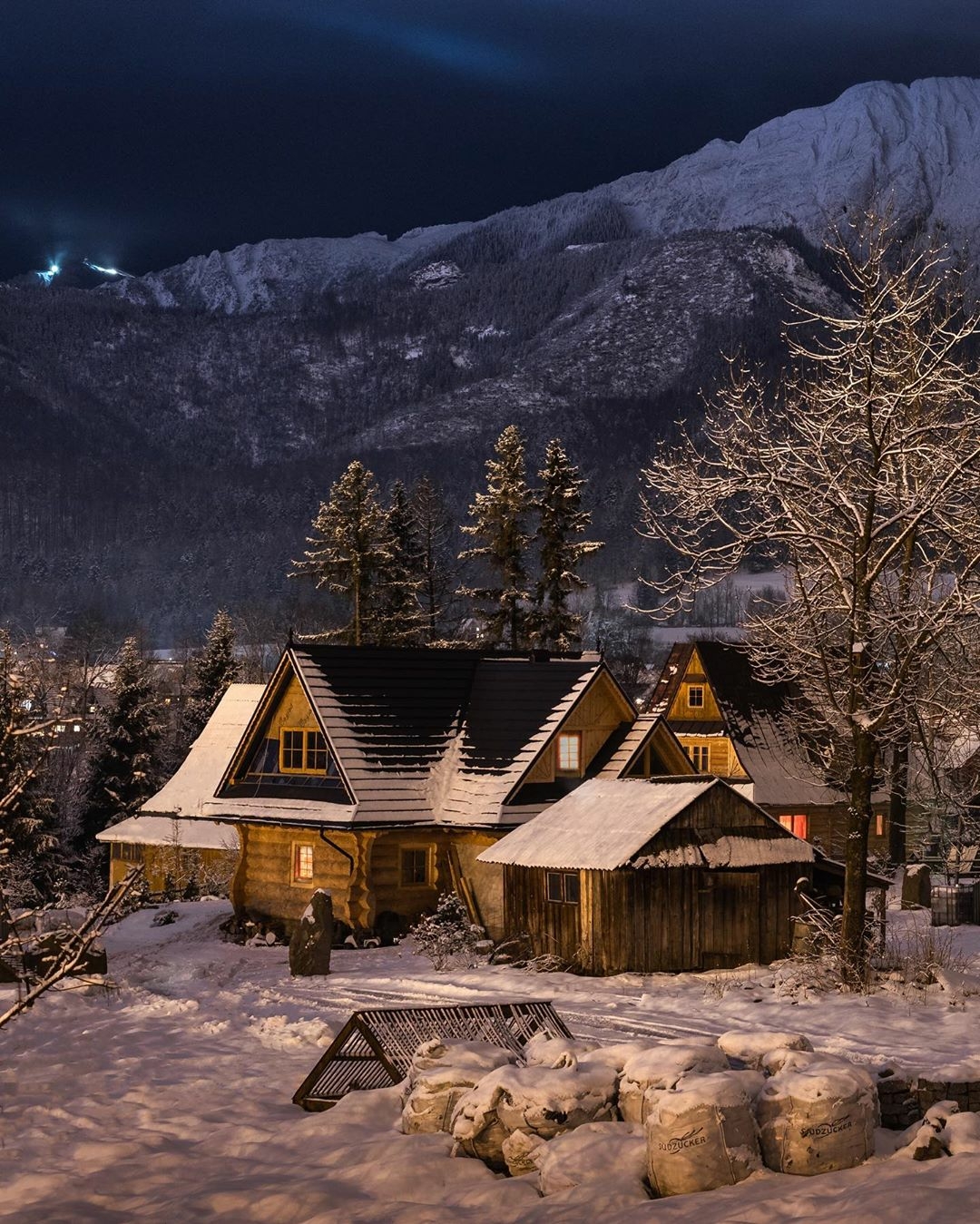 cabin scene