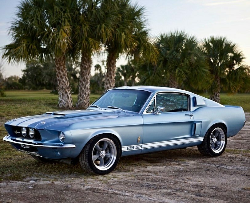 1967 Shelby GT500 exterior