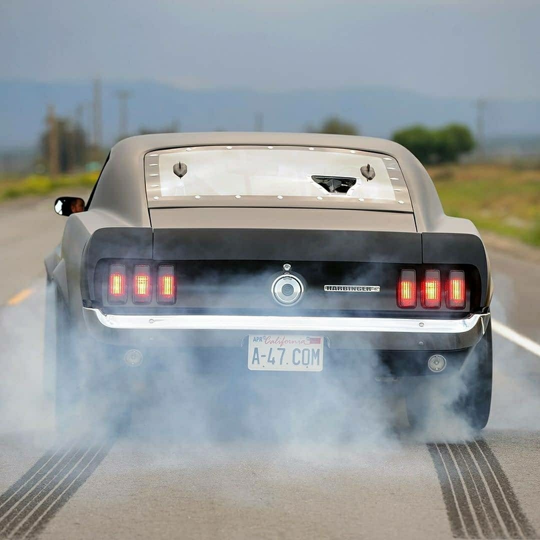 Shelby Fastback