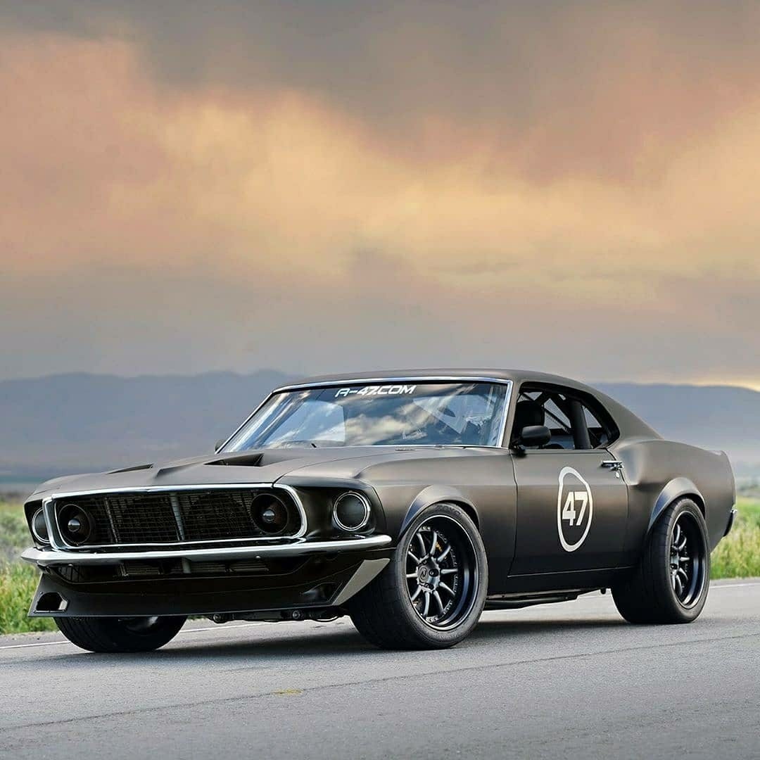 Shelby Fastback