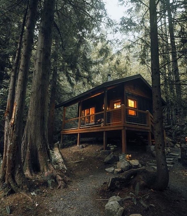 cozy cabin in the woods