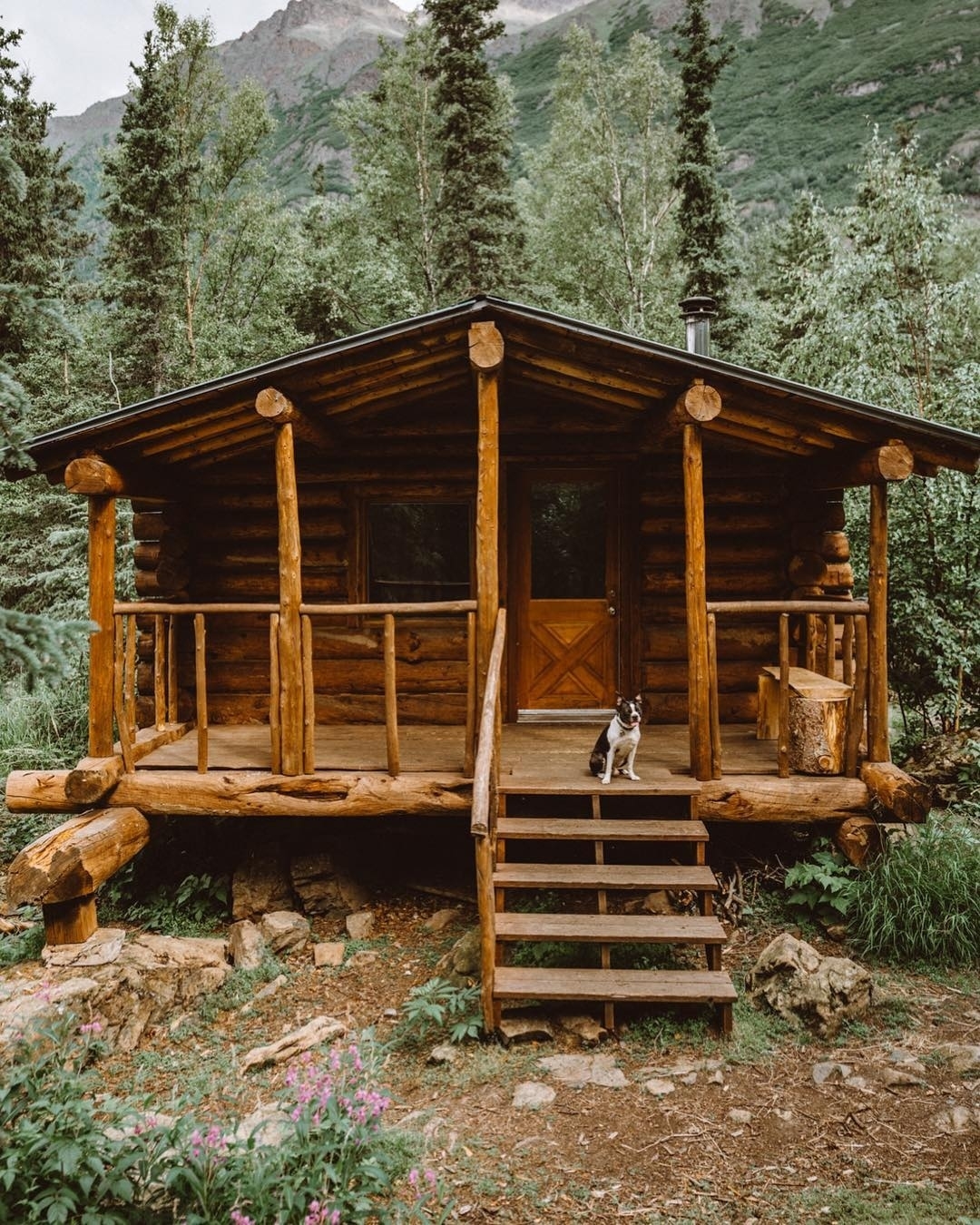 cabin with dog on porch